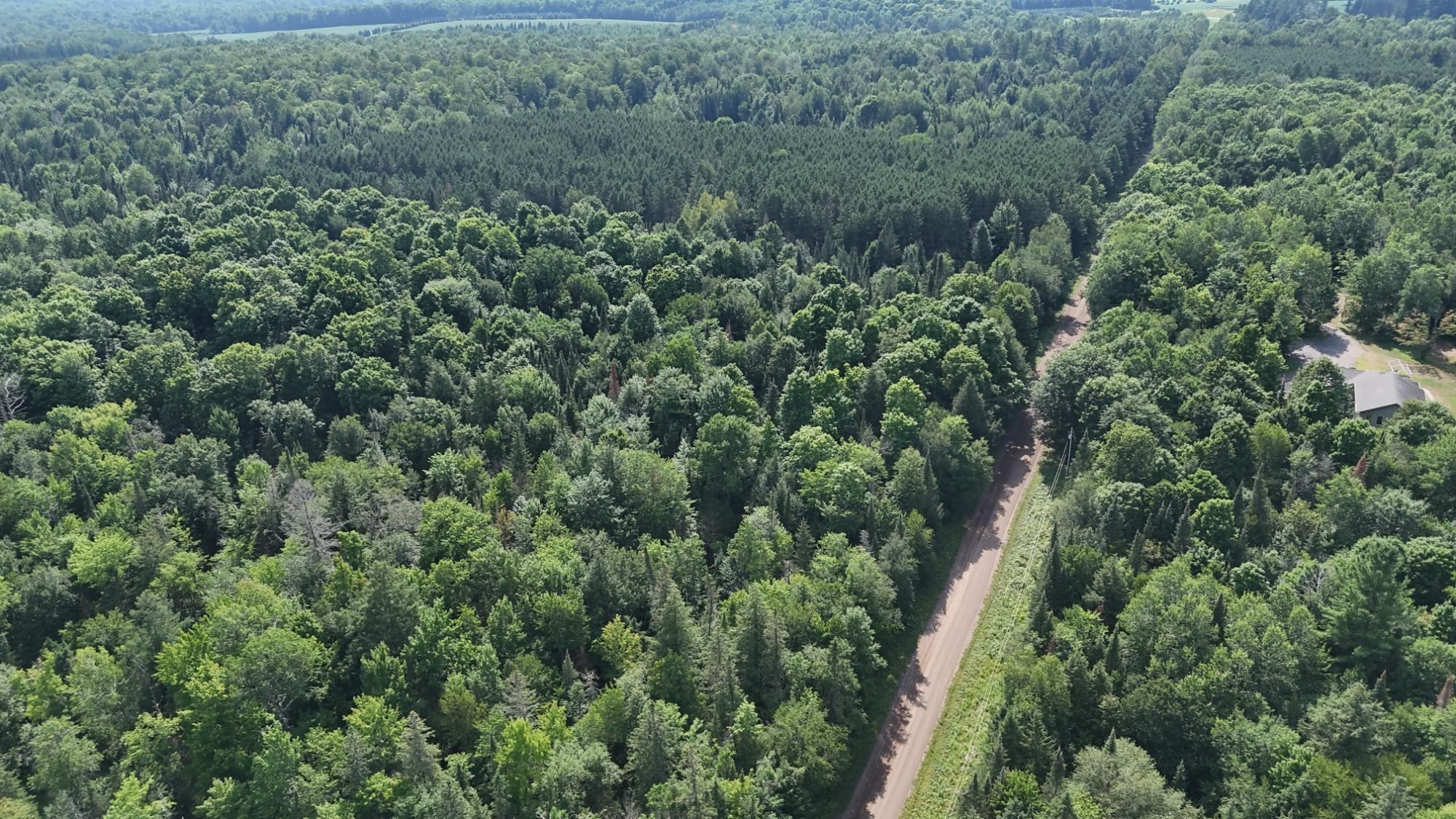 40 Ac Sunrise Road Property Photo 7