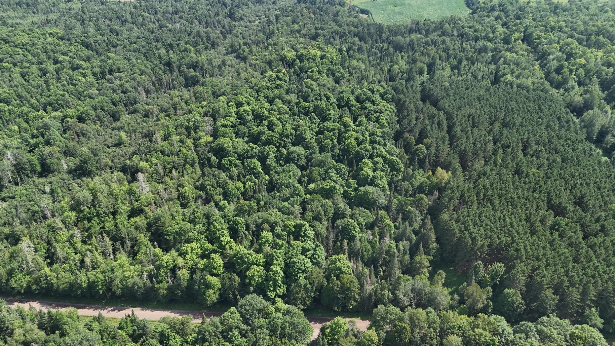 40 Ac Sunrise Road Property Photo 8