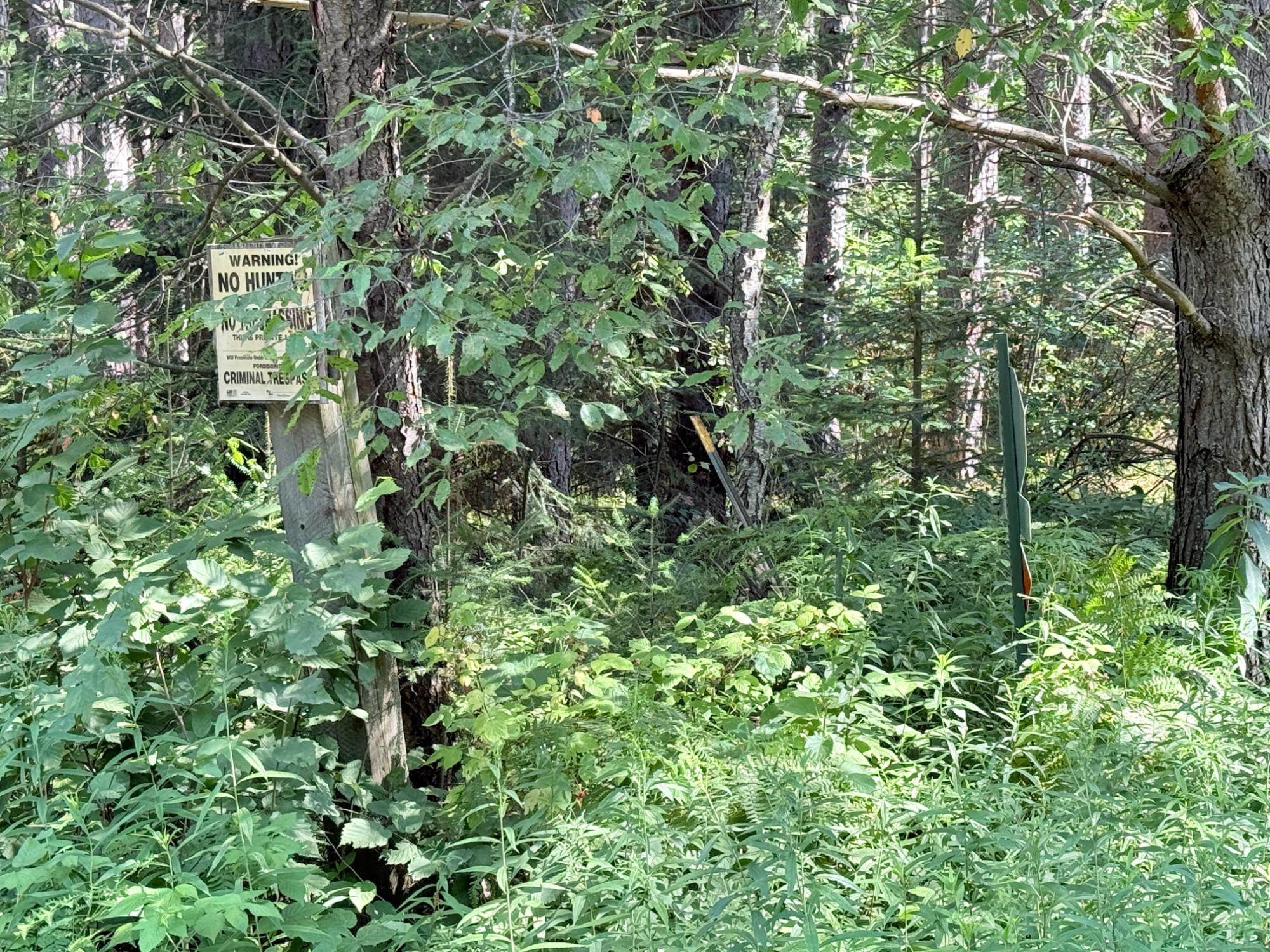 40 Ac Sunrise Road Property Photo 9