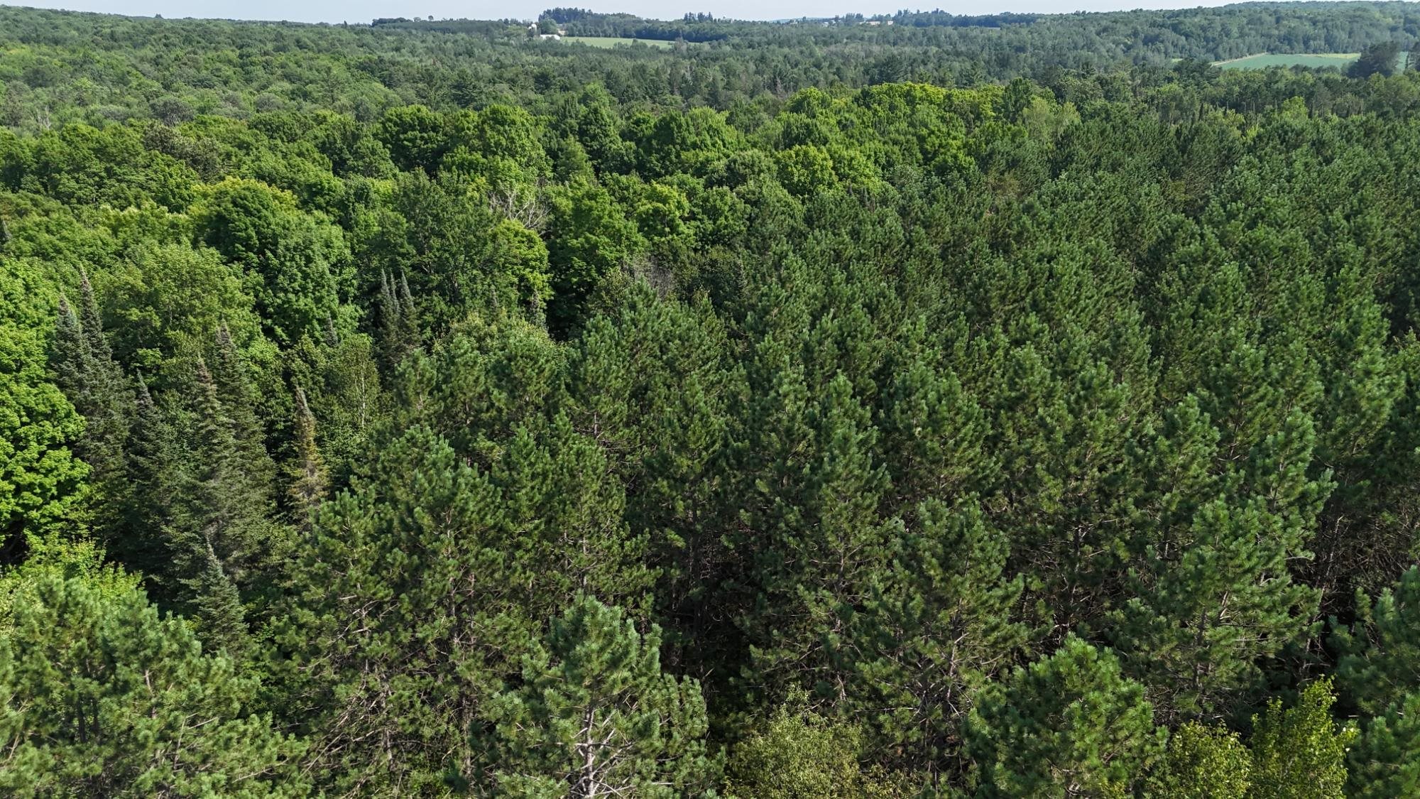 40 Ac Sunrise Road Property Photo 11