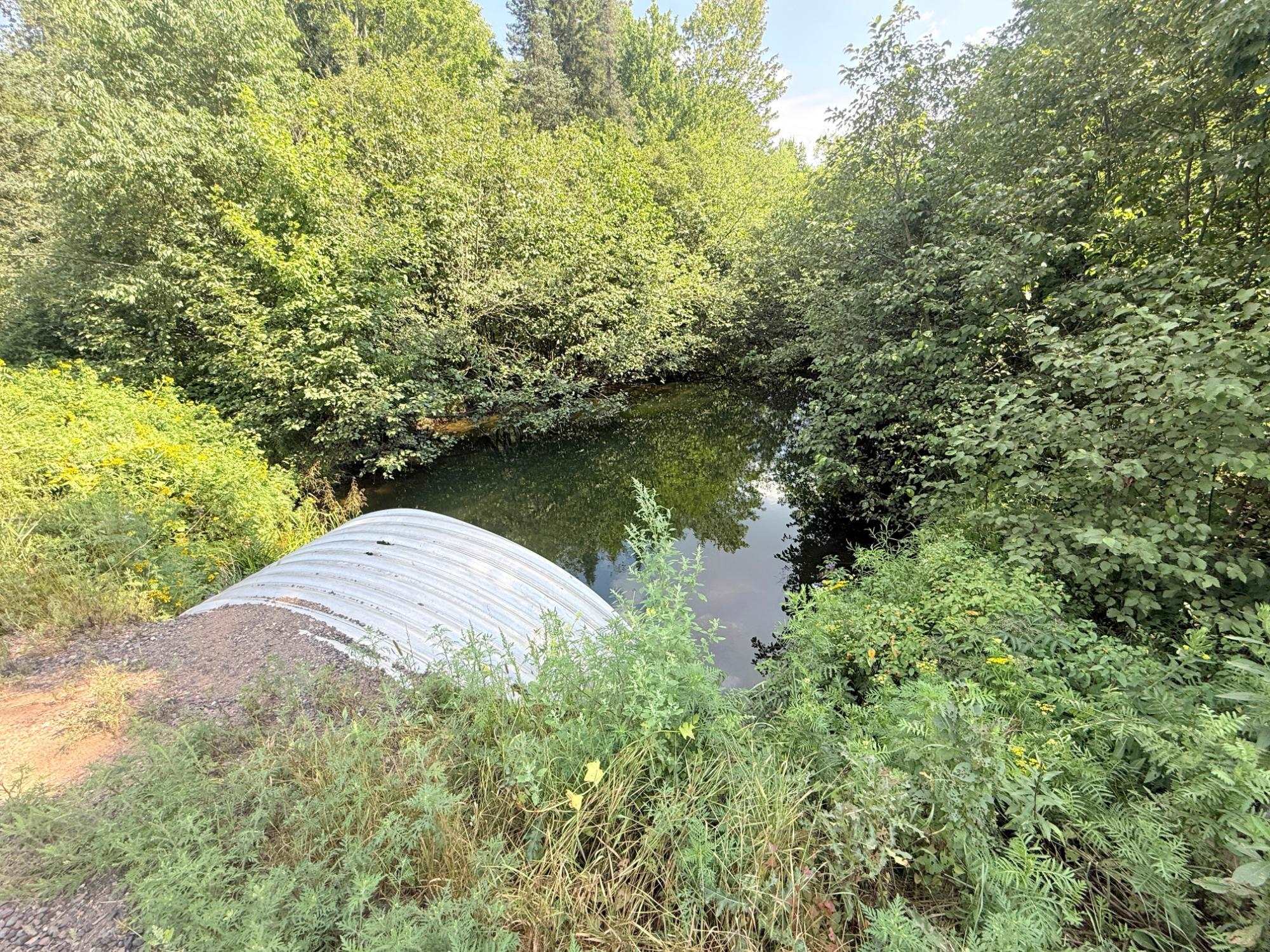40 Ac Sunrise Road Property Photo 12