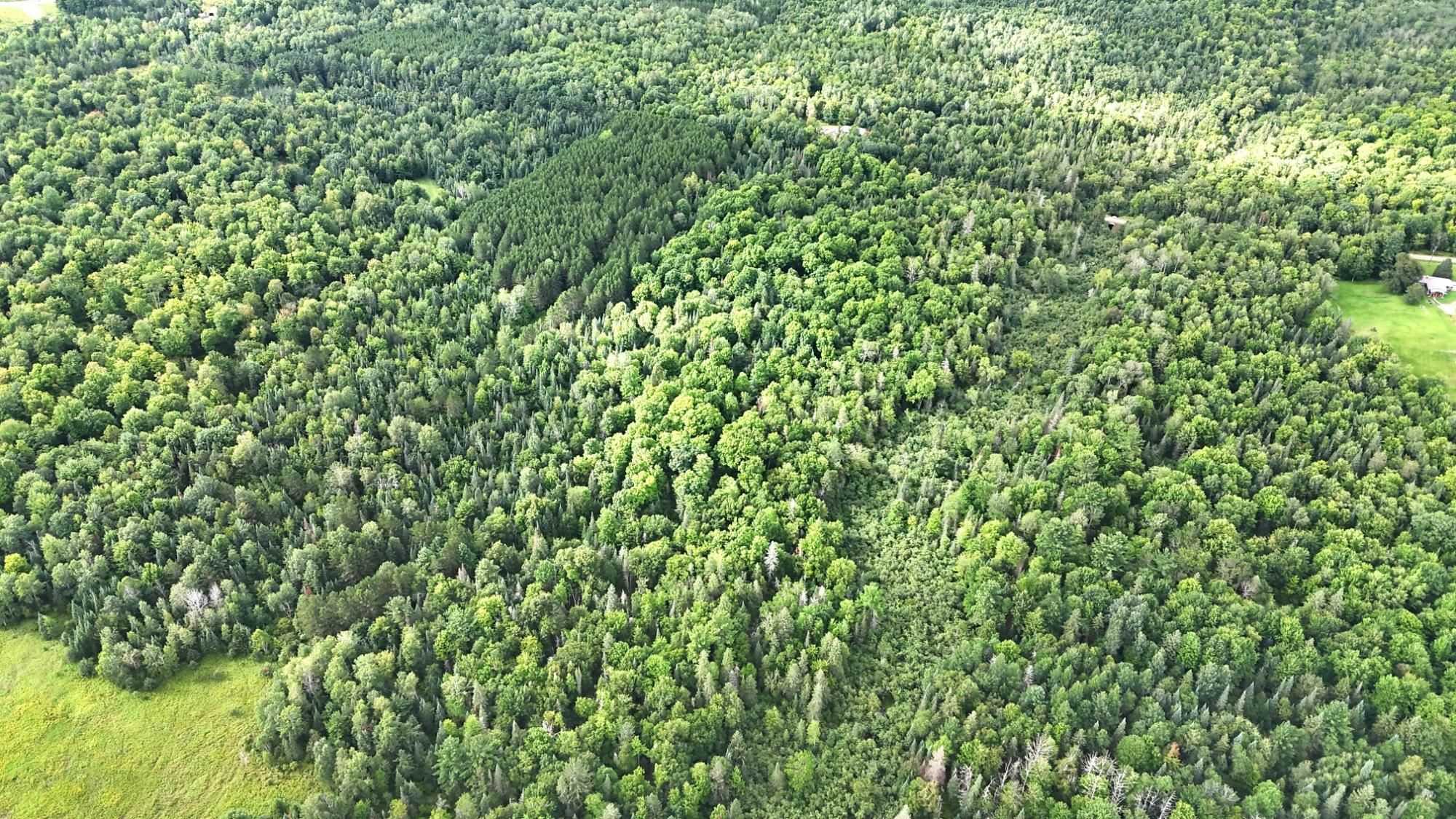 40 Ac Sunrise Road Property Photo 15