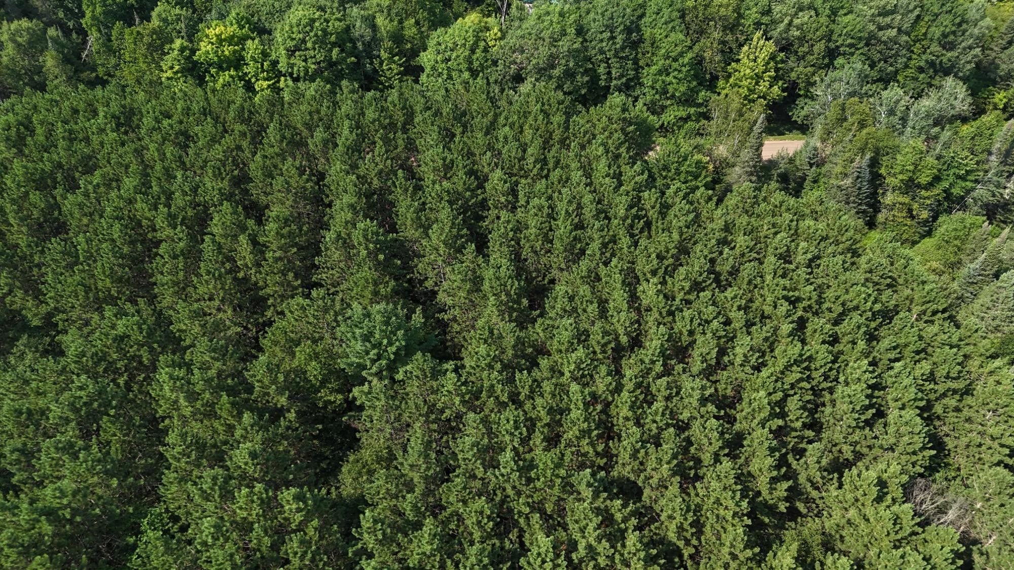 40 Ac Sunrise Road Property Photo 17