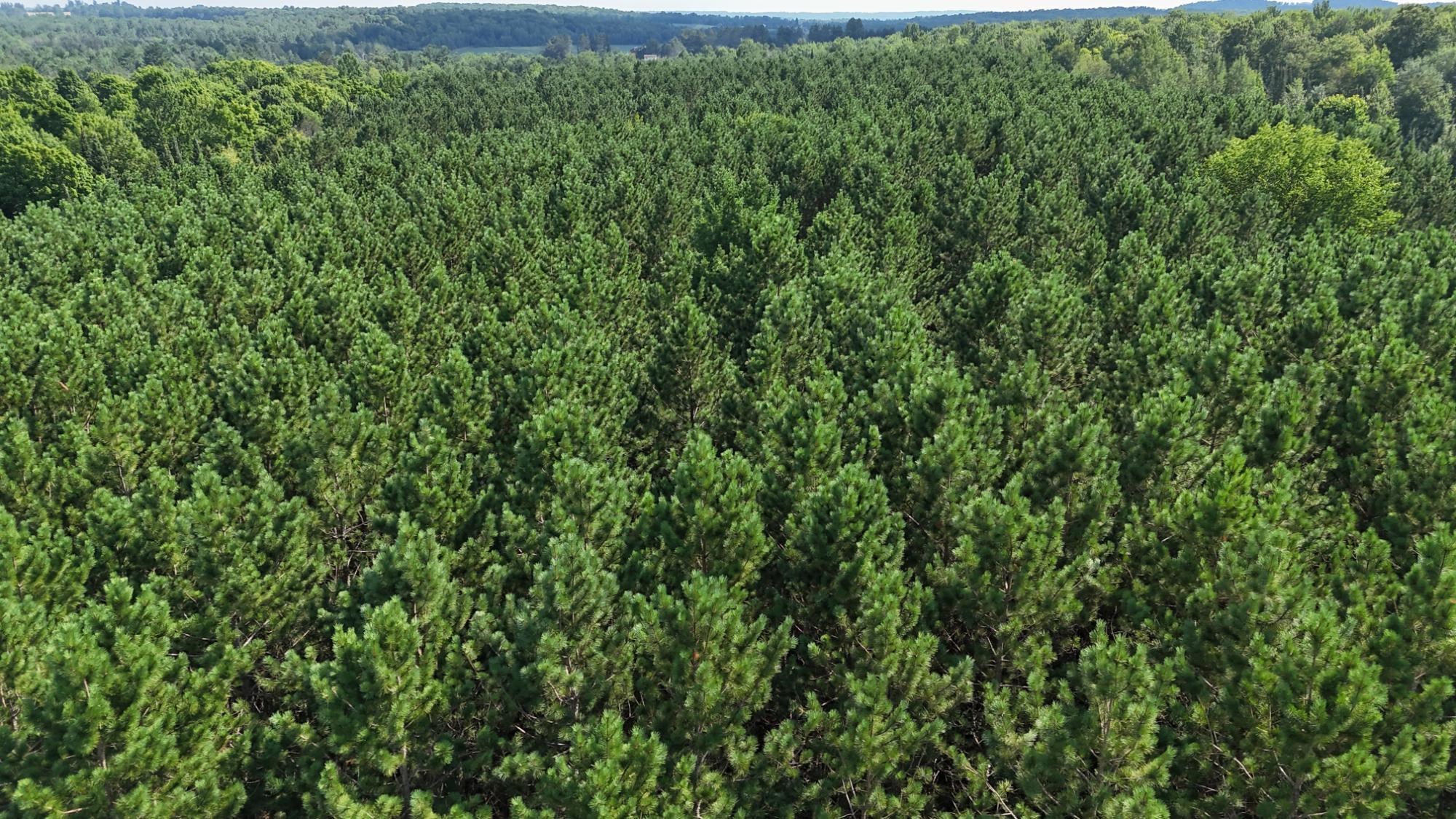 40 Ac Sunrise Road Property Photo 18