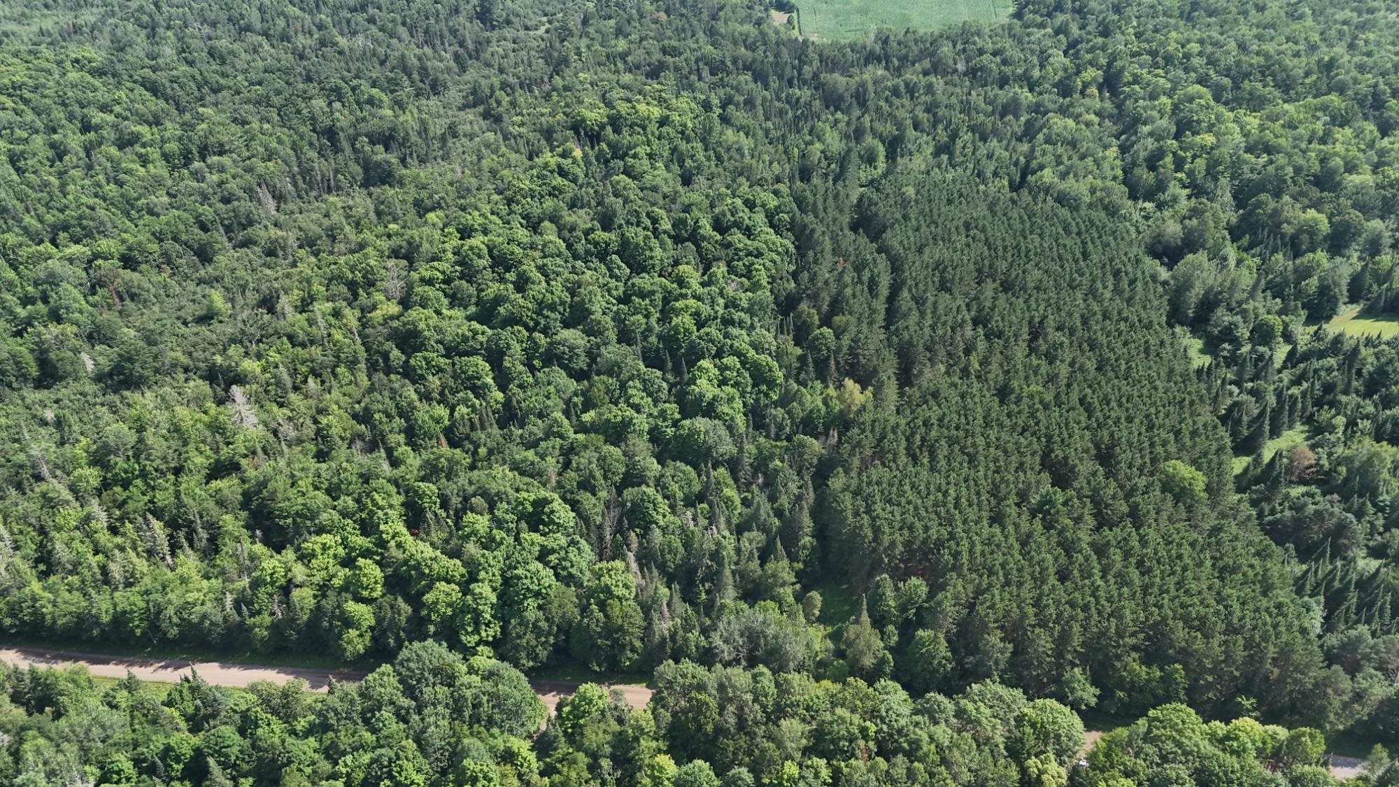 40 Ac Sunrise Road Property Photo 19