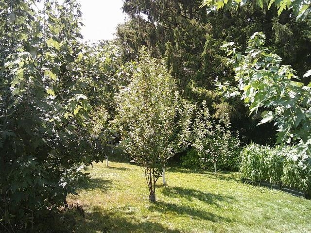 350 Plover Street Property Photo 22