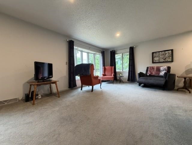 509 Sherman Avenue Property Photo 2
