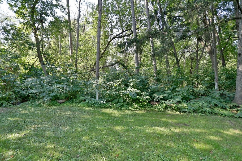 317 Imm Street Property Photo 6
