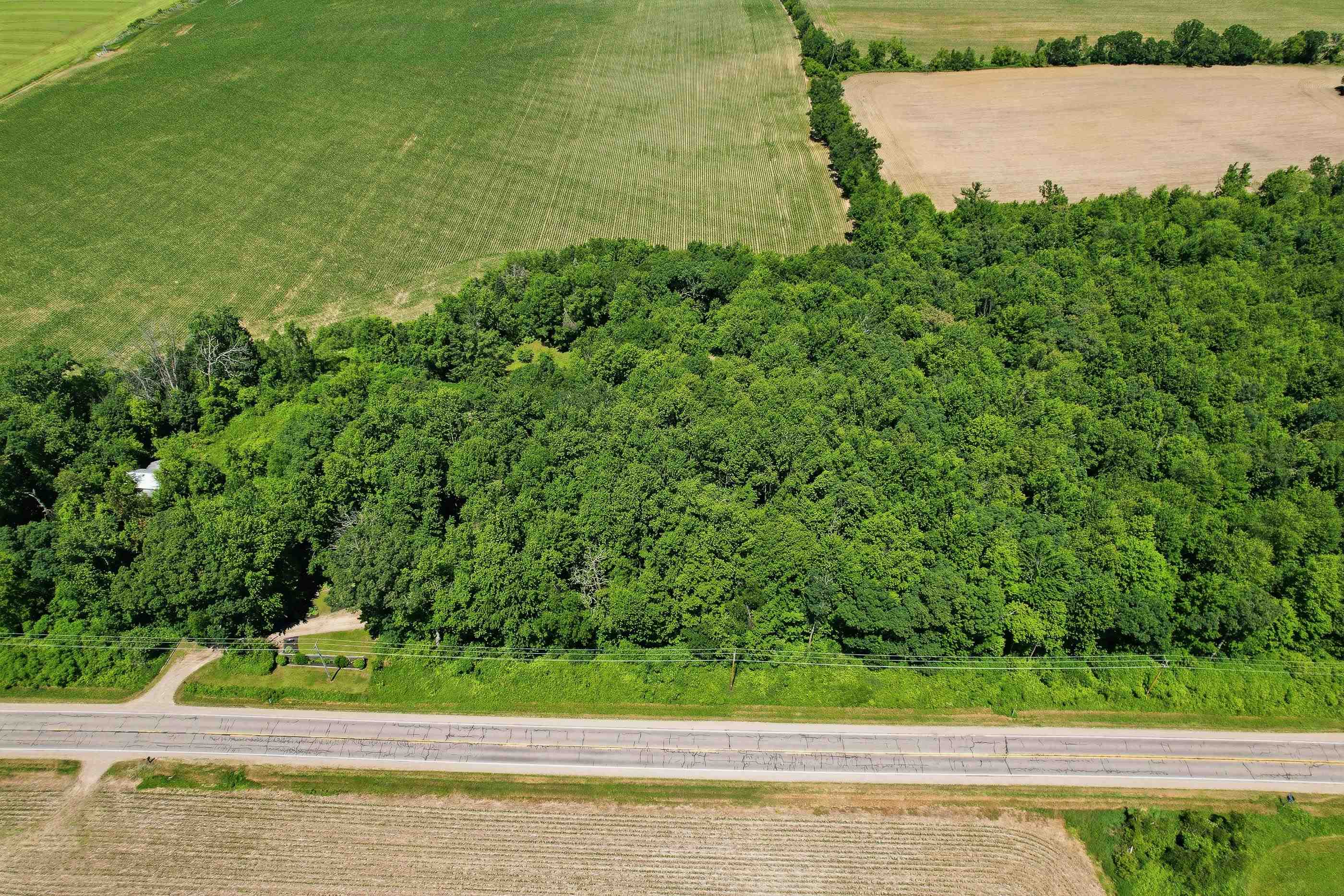 10264 State Highway 161 Property Photo 50