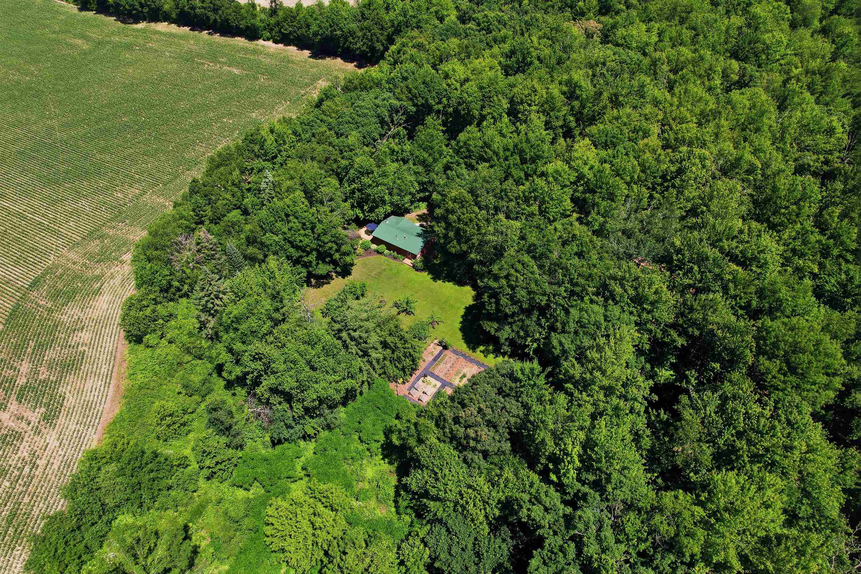 10264 State Highway 161 Property Photo 54