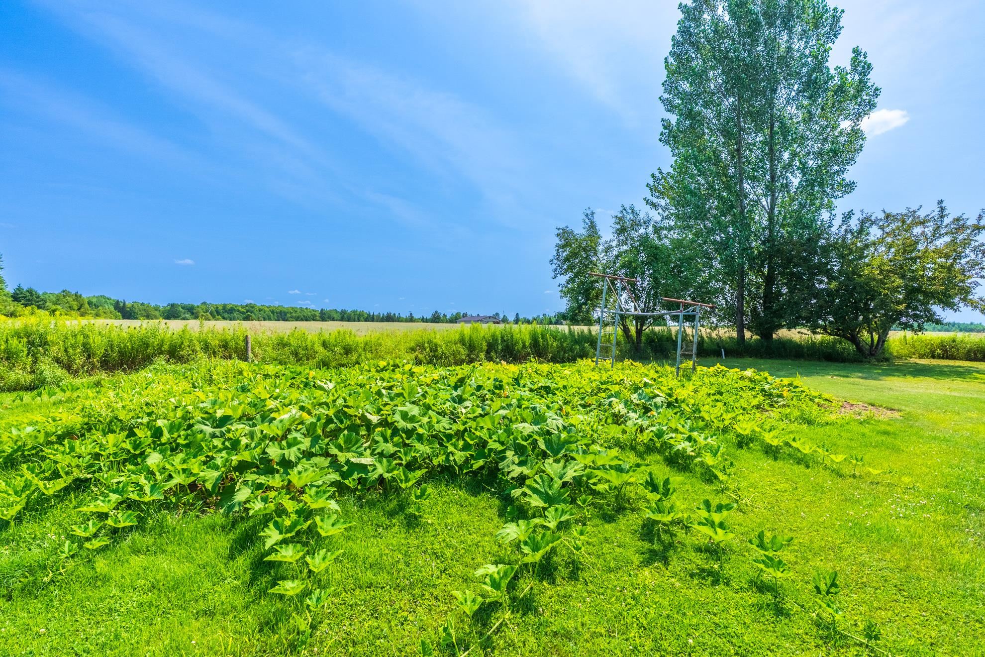 N450 County Road X Property Photo 49