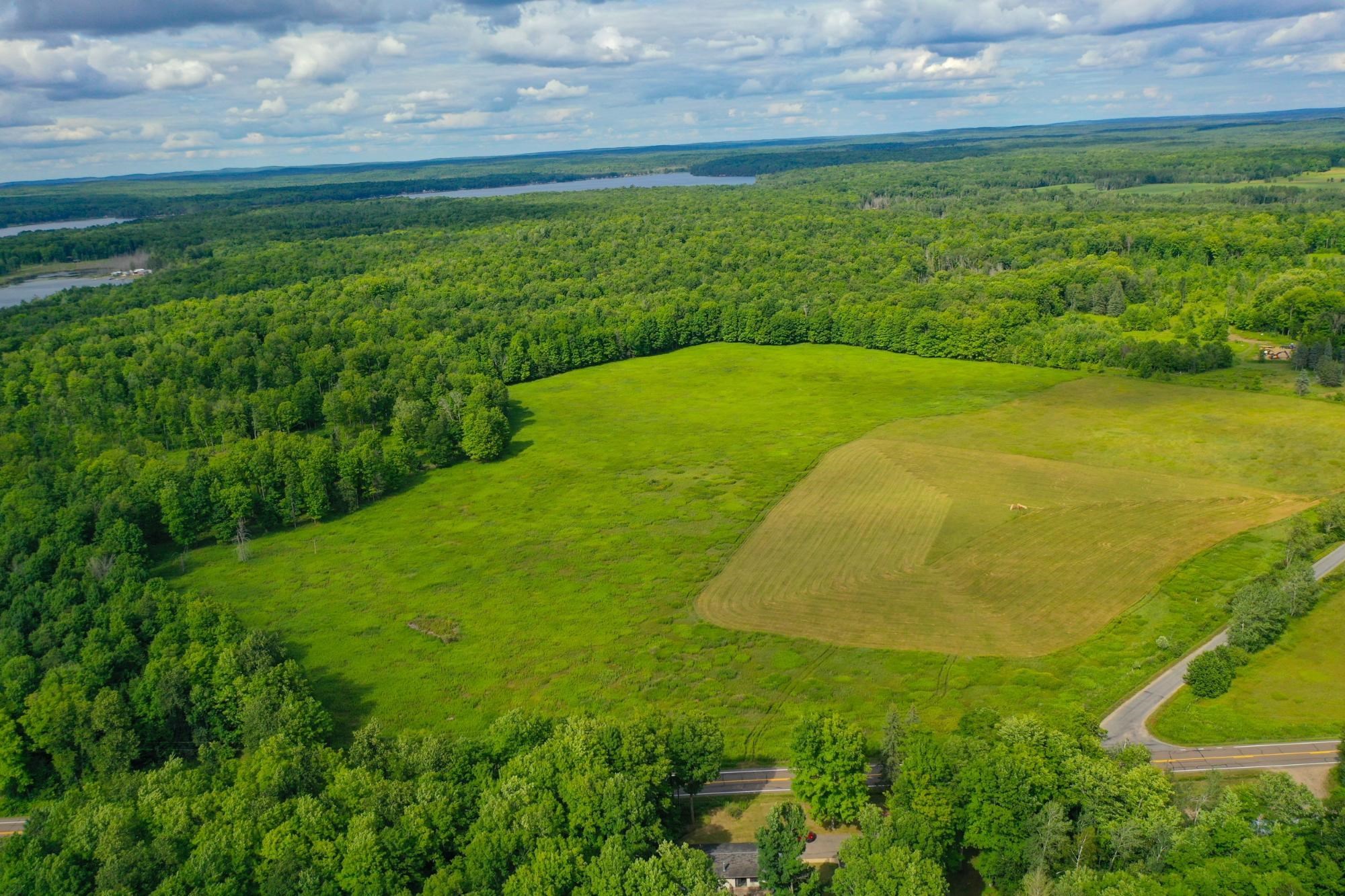 29.34 Acres State Highway 55 Property Photo 3
