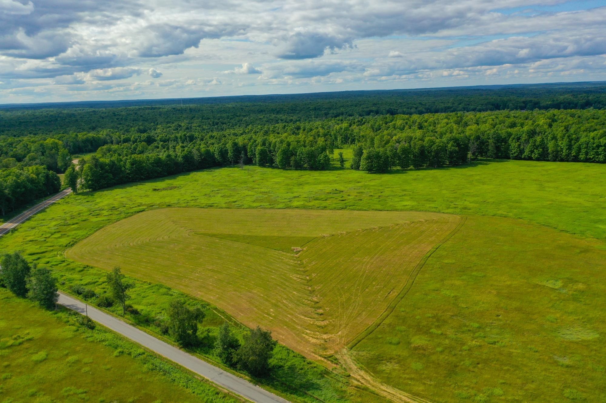 29.34 Acres State Highway 55 Property Photo 5