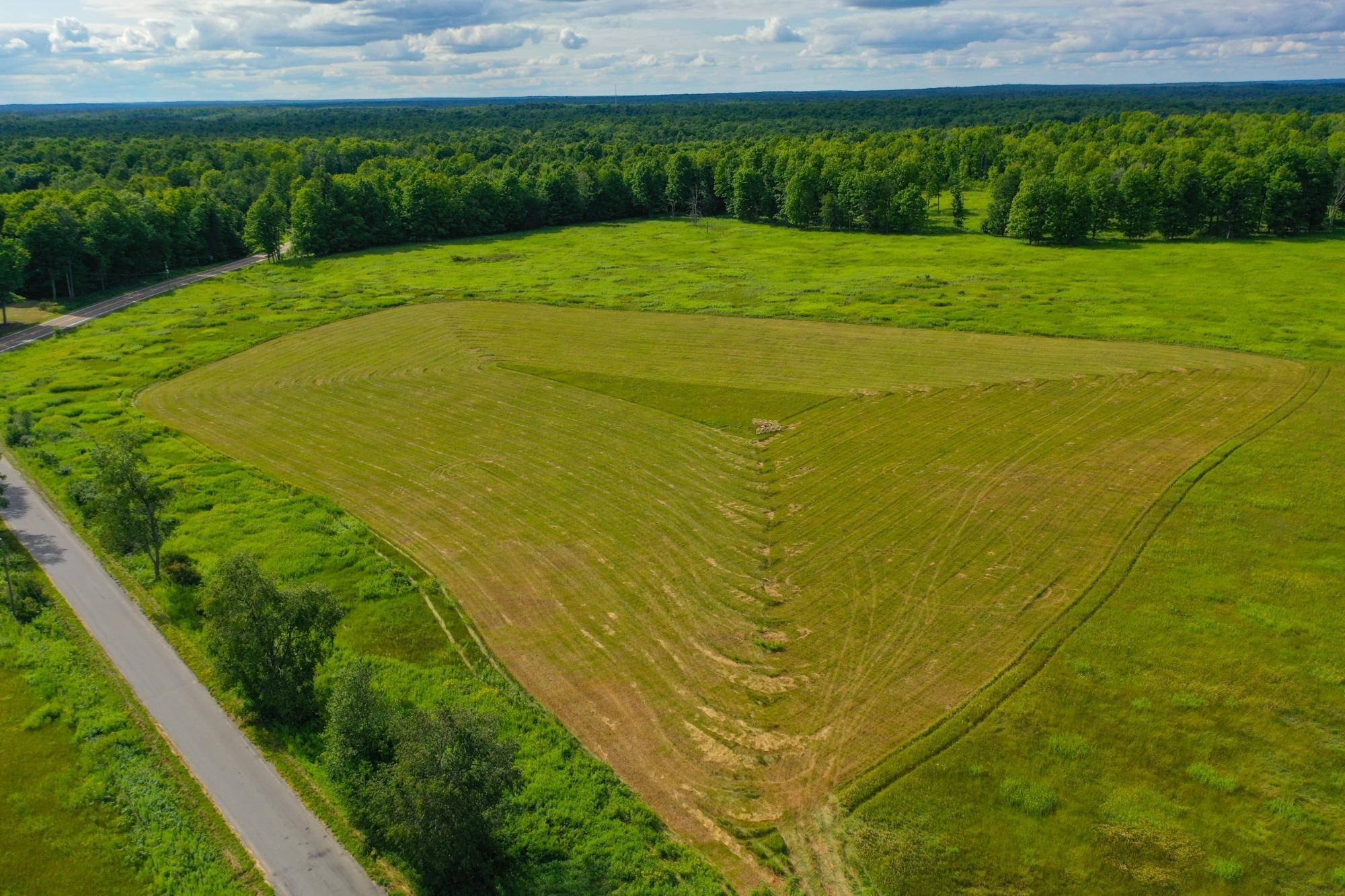 29.34 Acres State Highway 55 Property Photo 6