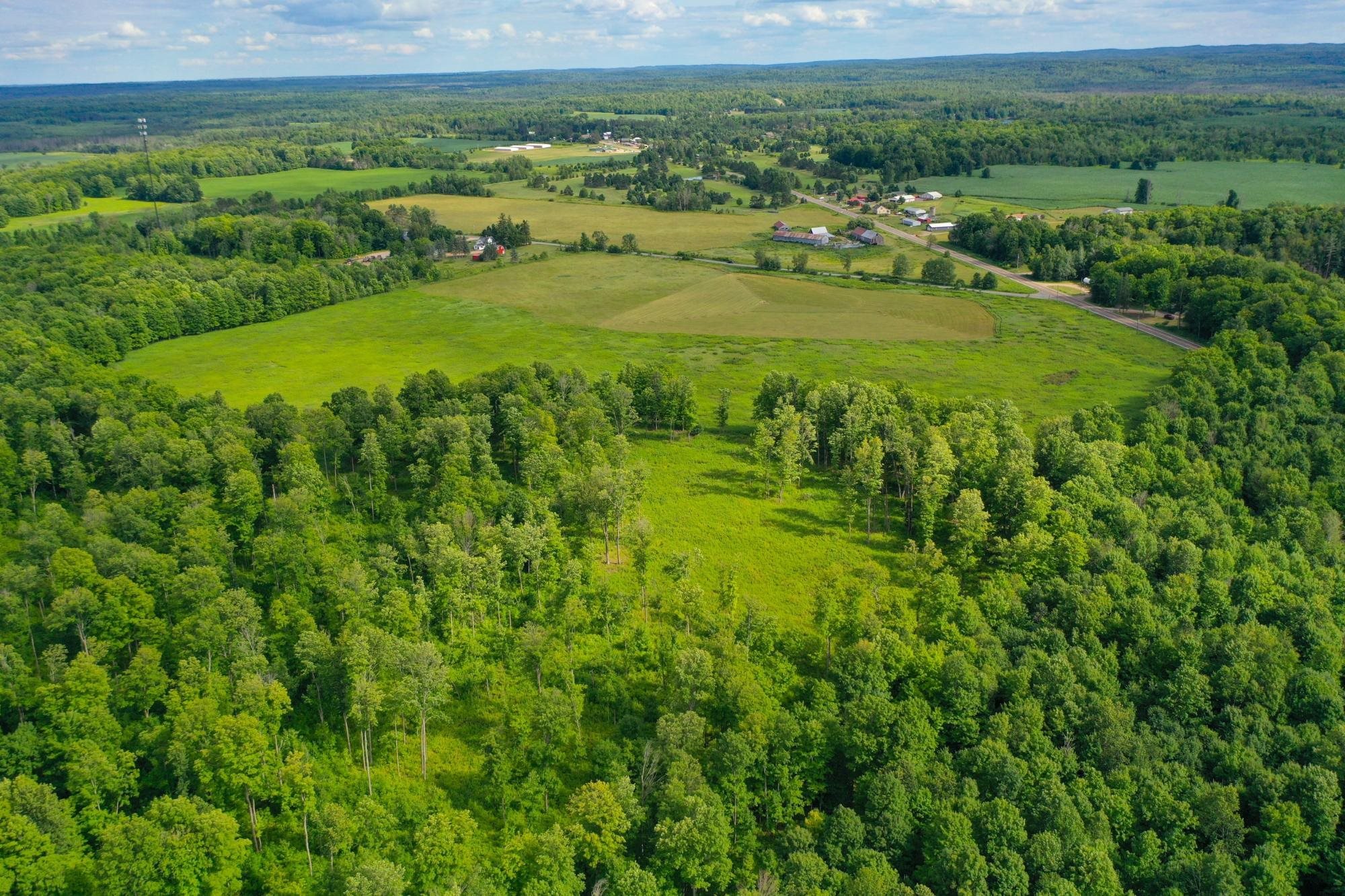 29.34 Acres State Highway 55 Property Photo 7