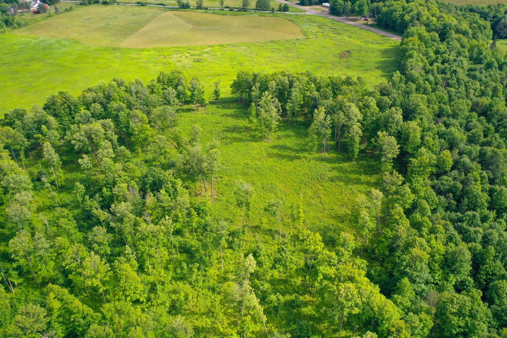 29.34 Acres State Highway 55 Property Photo 8