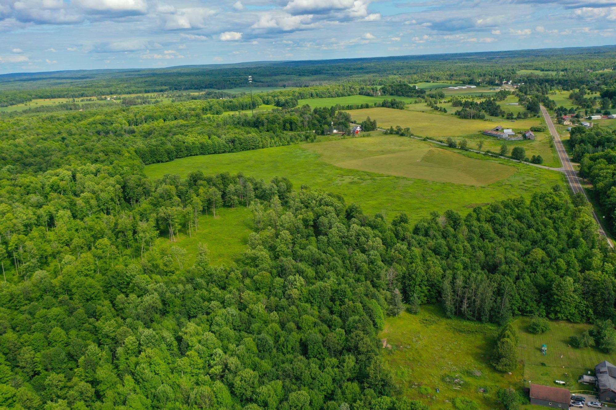 29.34 Acres State Highway 55 Property Photo 9