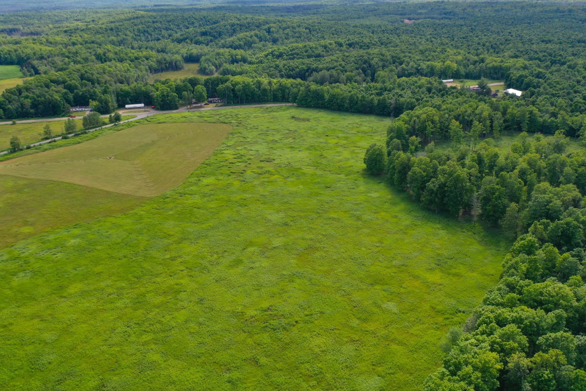29.34 Acres State Highway 55 Property Photo 10