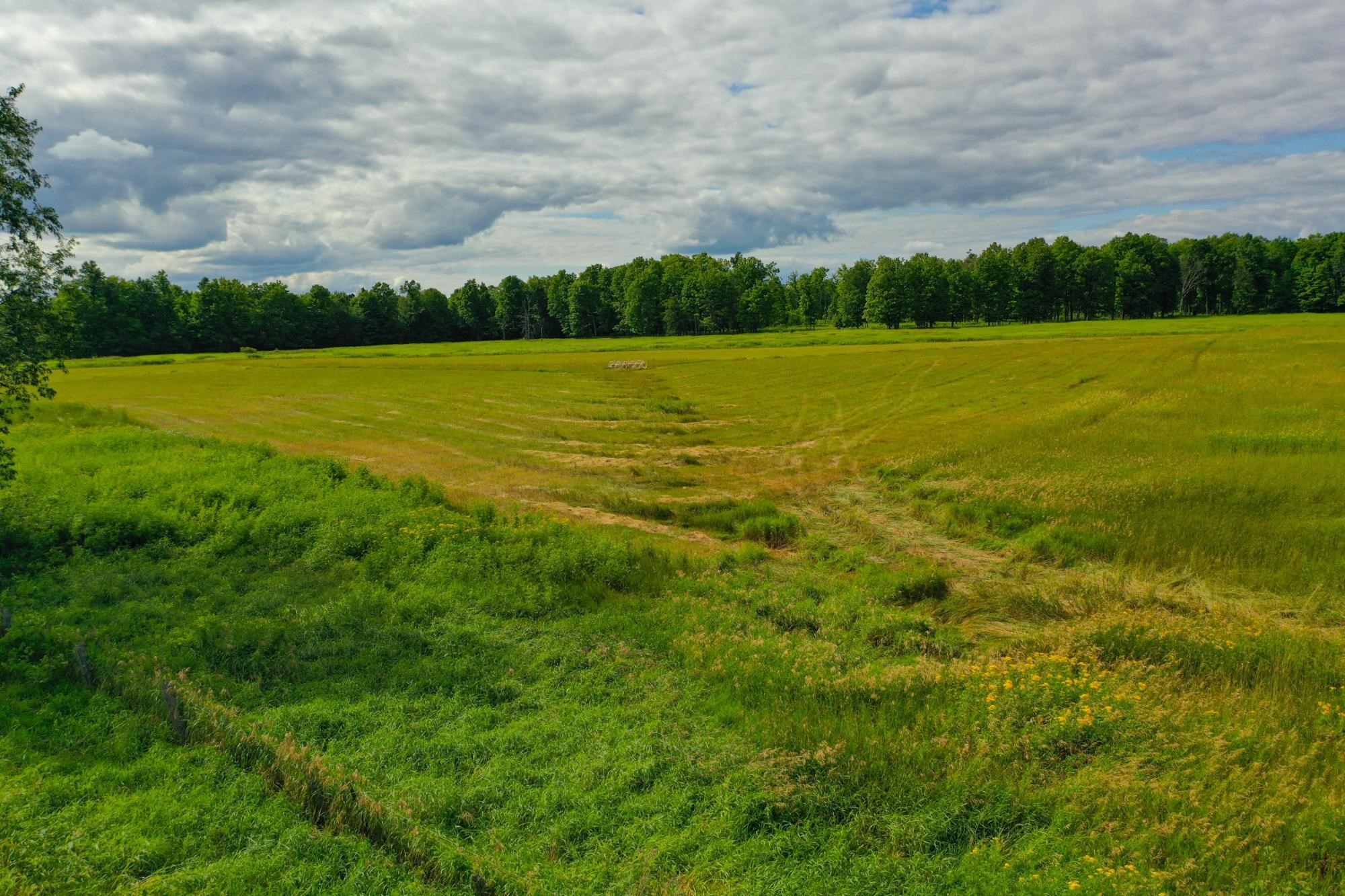 29.34 Acres State Highway 55 Property Photo 12