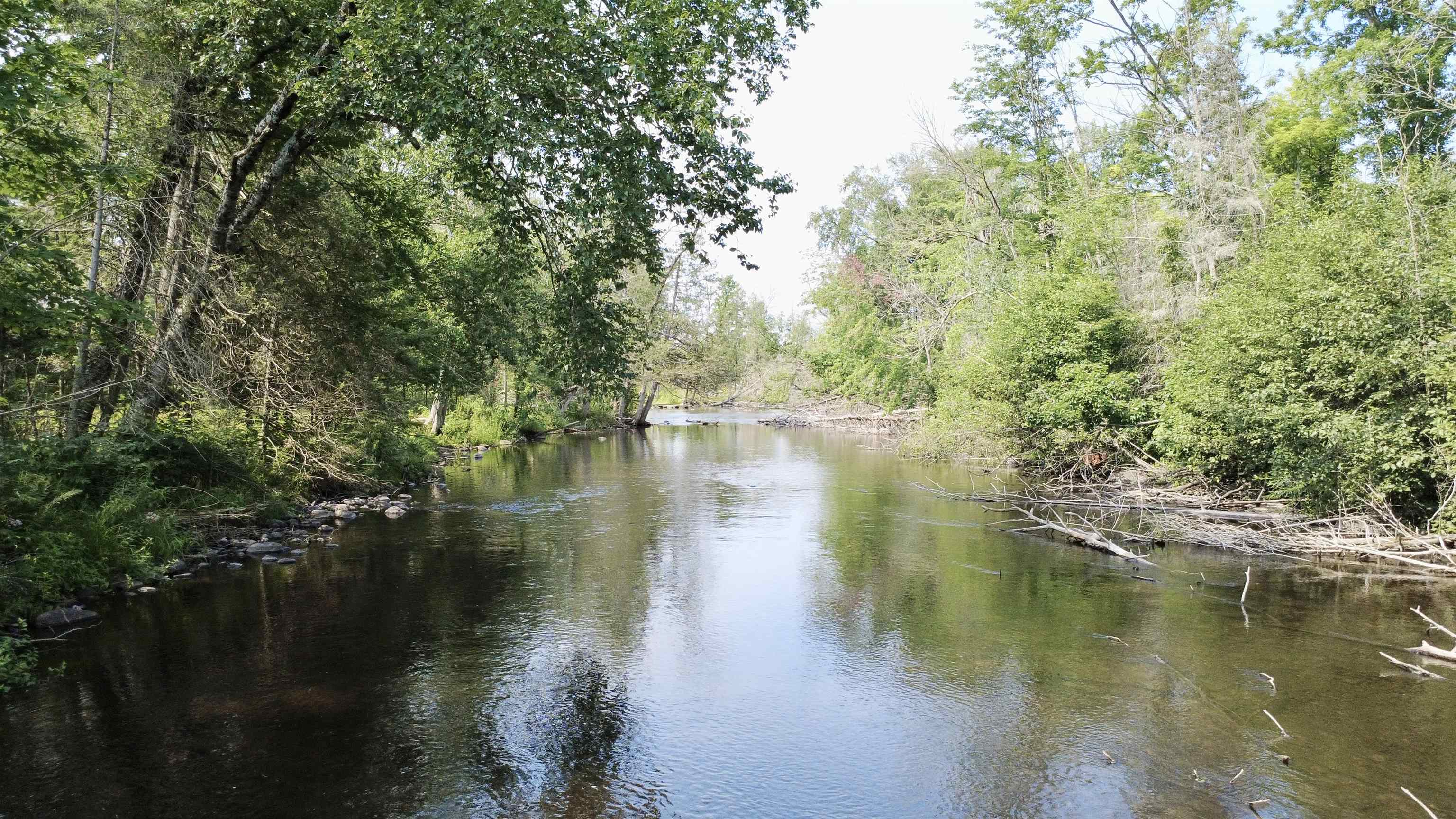 N7769 Marshall Lane Property Photo 25