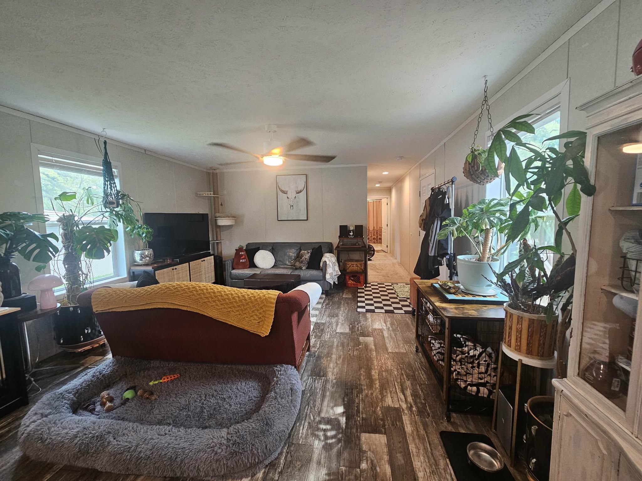 905 E Kalsched Street Property Photo 4