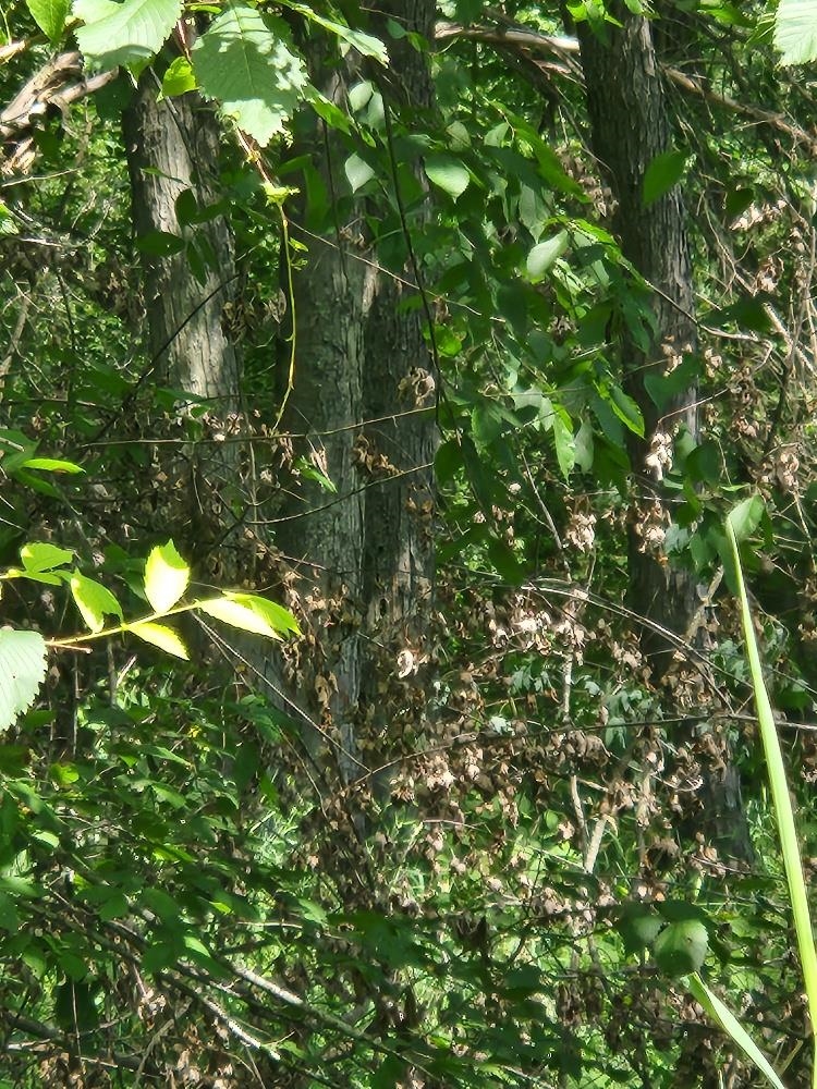 On Dietsch Road Property Photo 9