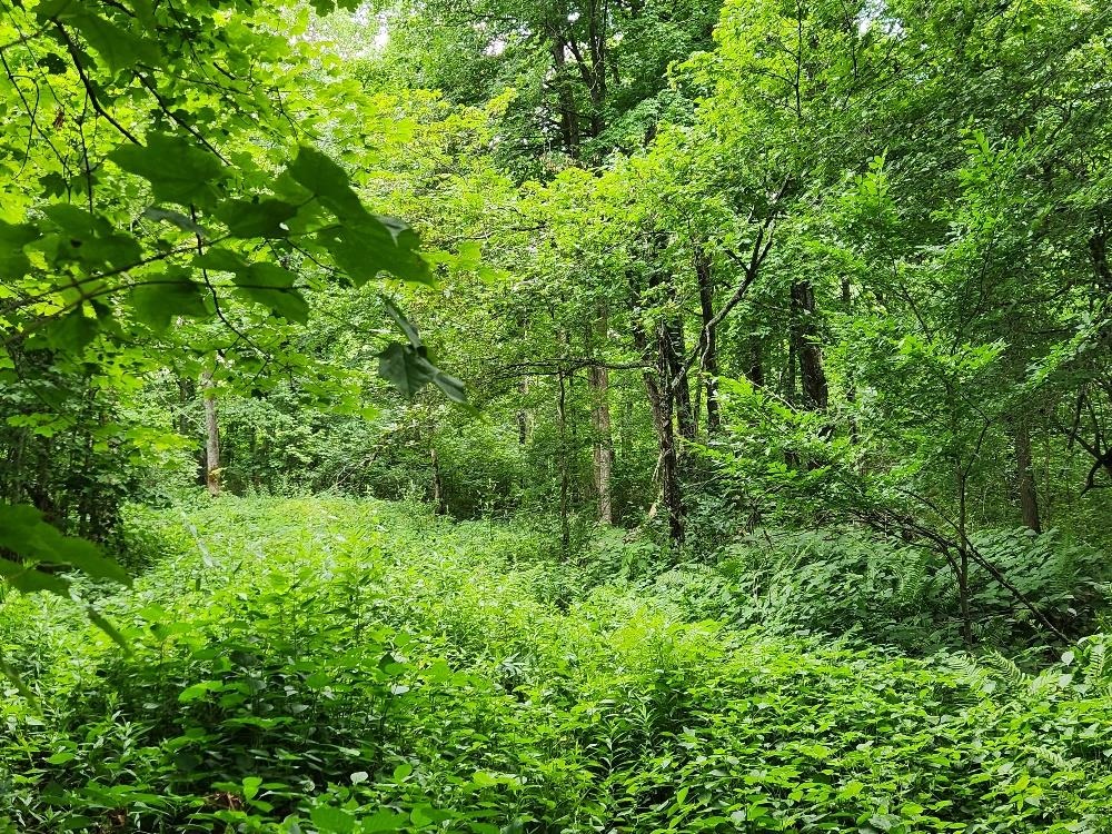 On Dietsch Road Property Photo 11