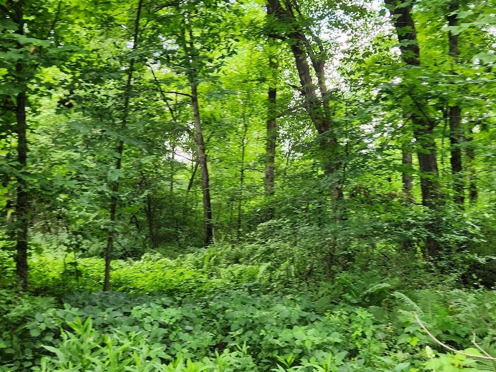 On Dietsch Road Property Photo 12