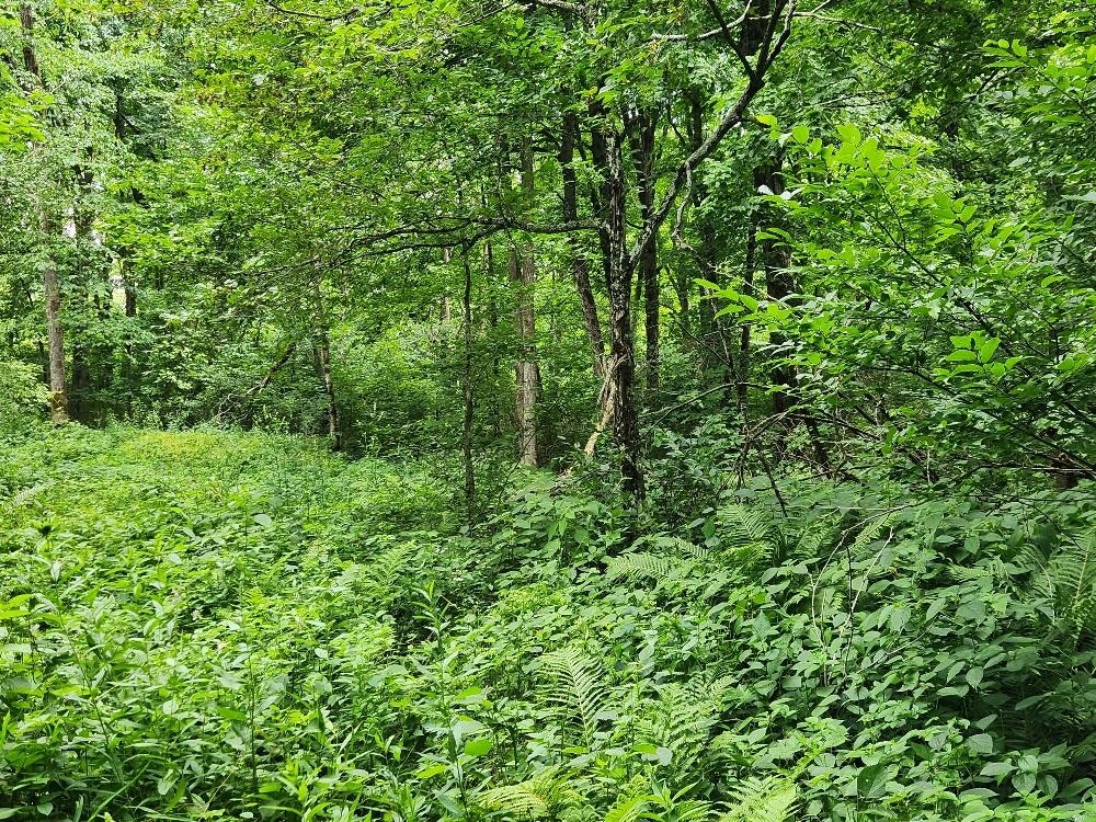 On Dietsch Road Property Photo 13