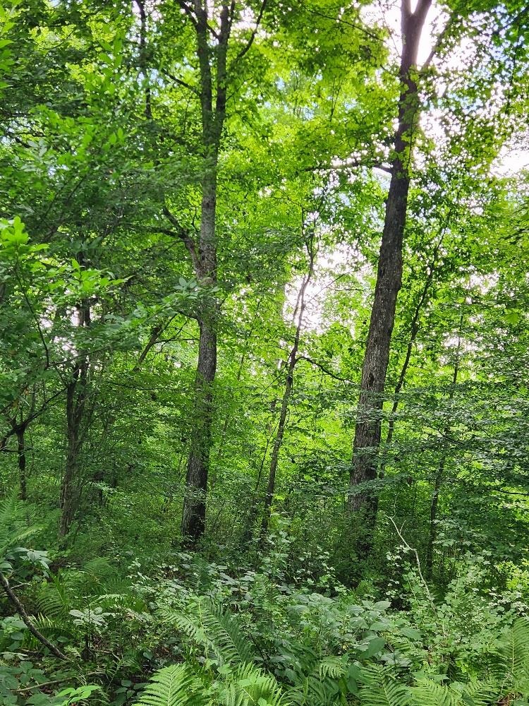 On Dietsch Road Property Photo 14
