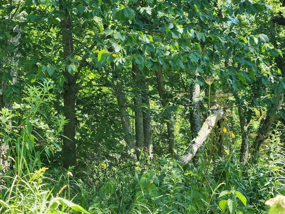 On Dietsch Road Property Photo 22