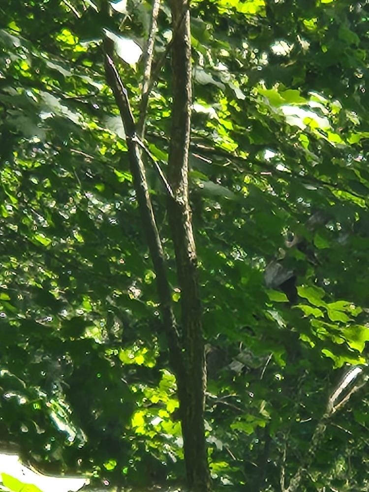 On Dietsch Road Property Photo 23