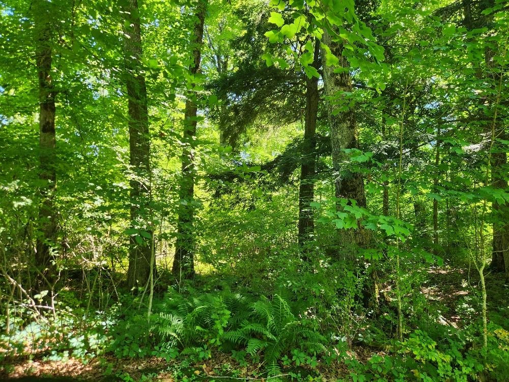On Dietsch Road Property Photo 26