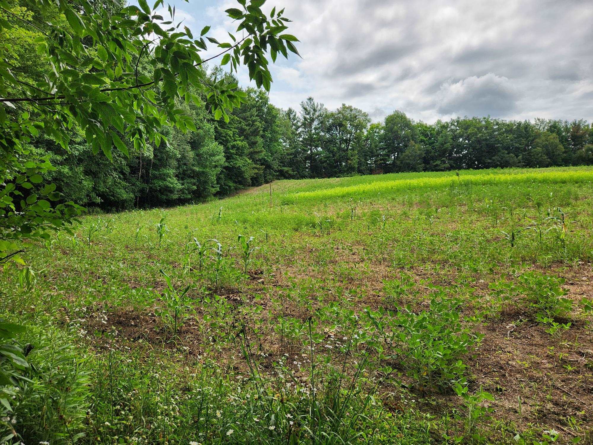On Yenter Lane Property Photo 8