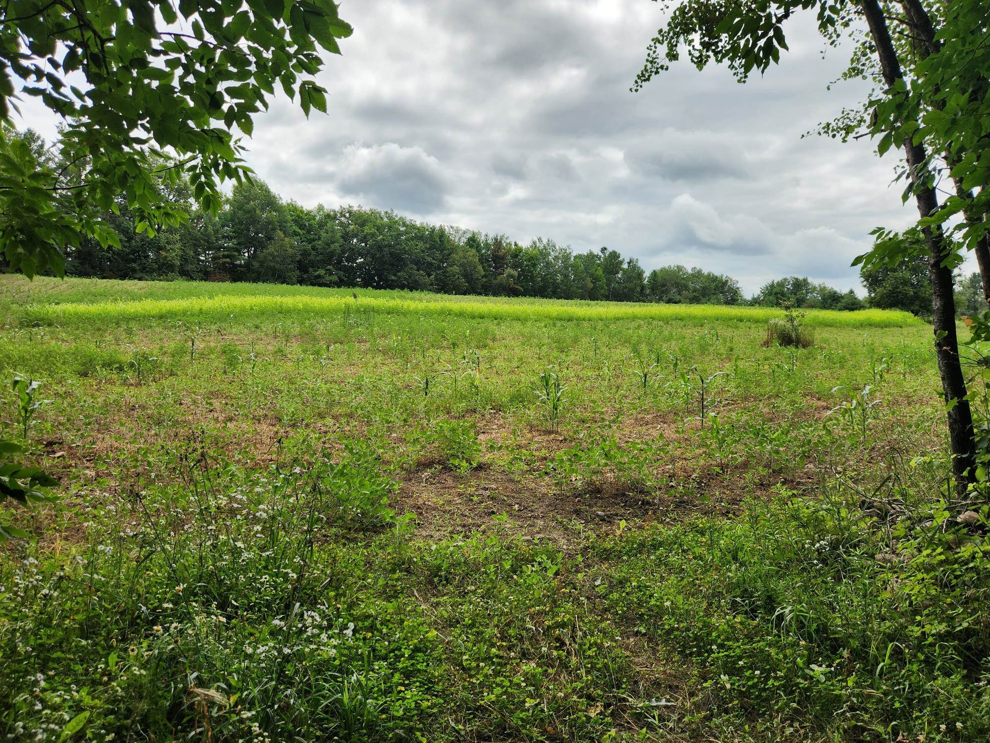 On Yenter Lane Property Photo 9