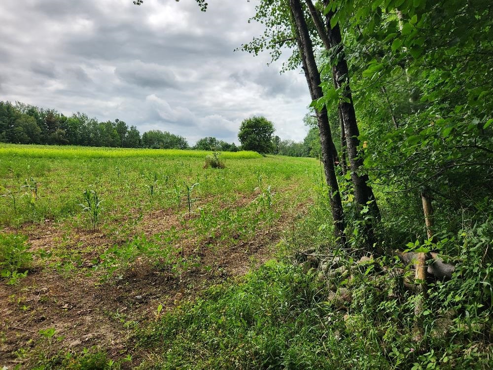 On Yenter Lane Property Photo 10