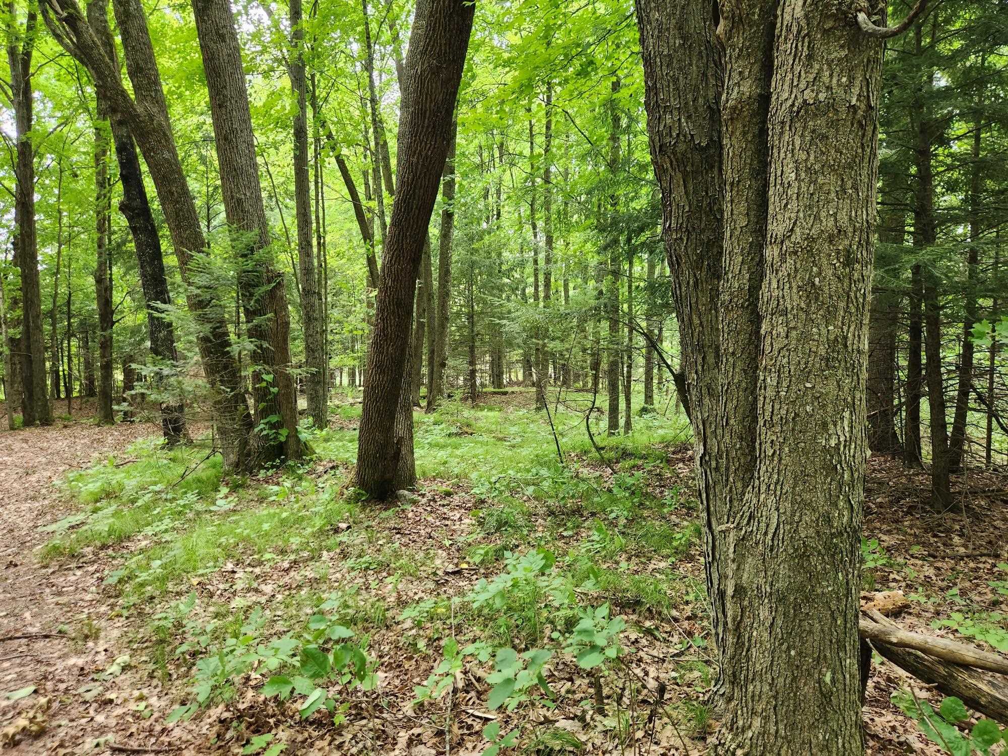 On Yenter Lane Property Photo 11