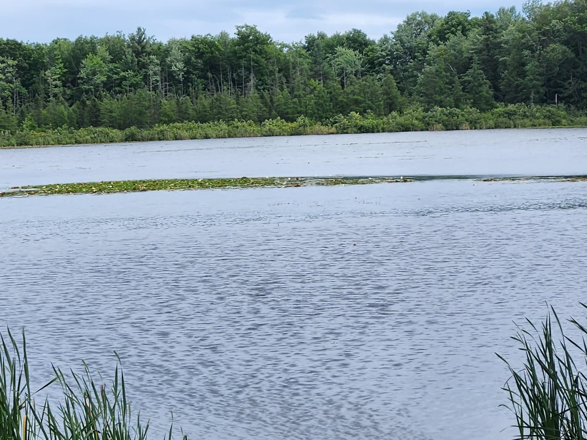 On Yenter Lane Property Photo 13