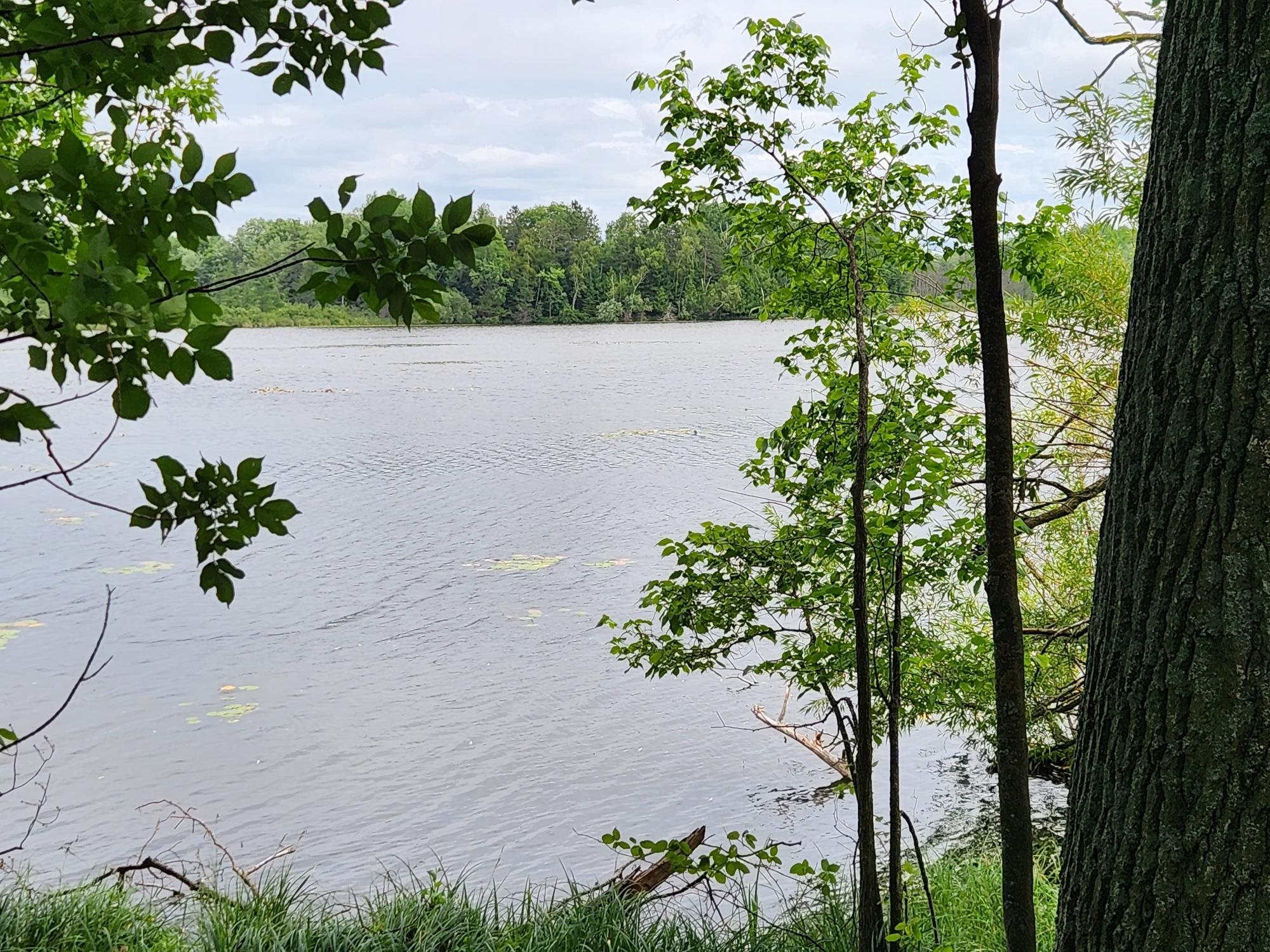 On Yenter Lane Property Photo 16