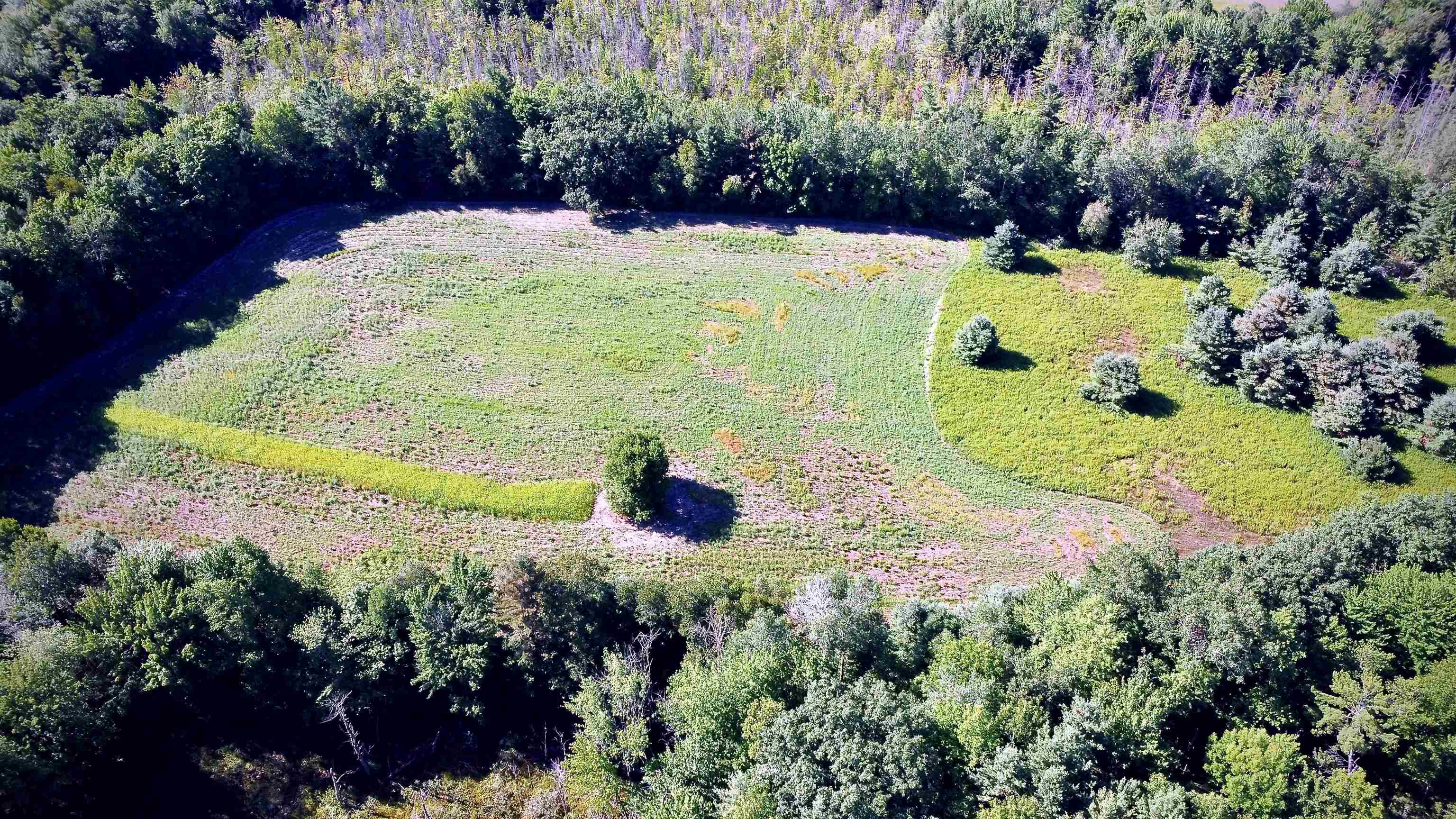 On Yenter Lane Property Photo 18