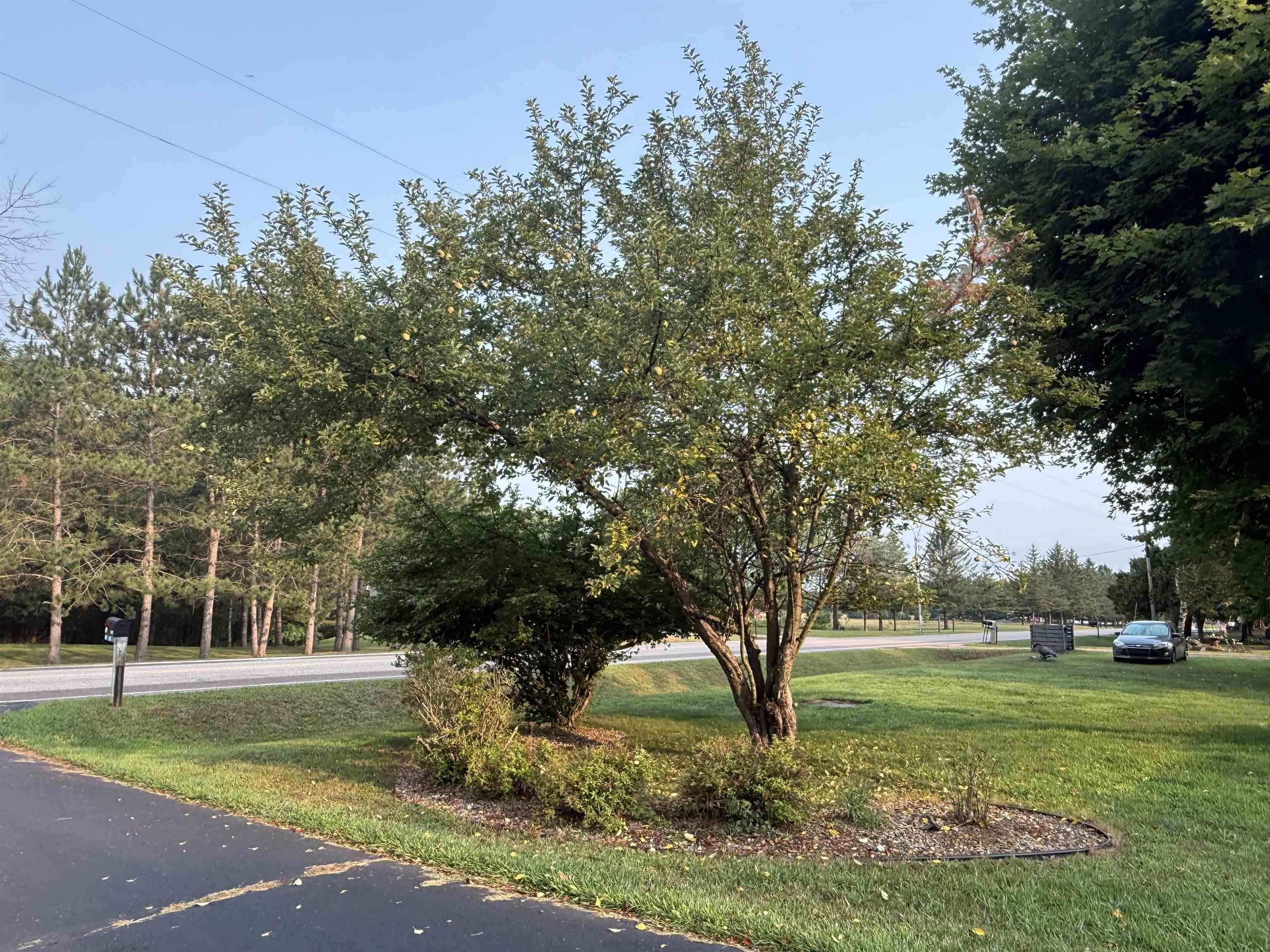 N7734 County Road J Property Photo 2