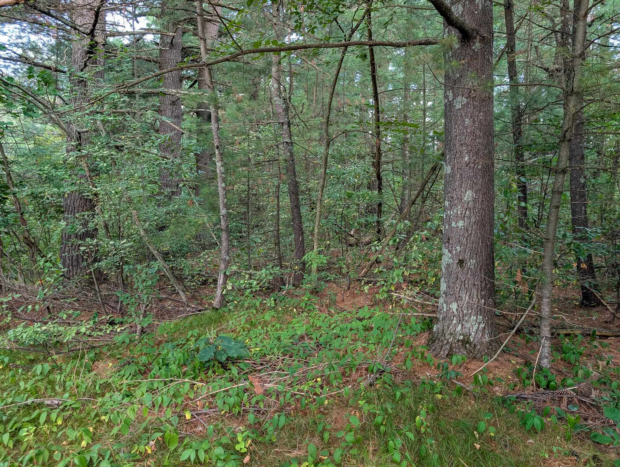 610 Peninsula Lane Property Photo 7