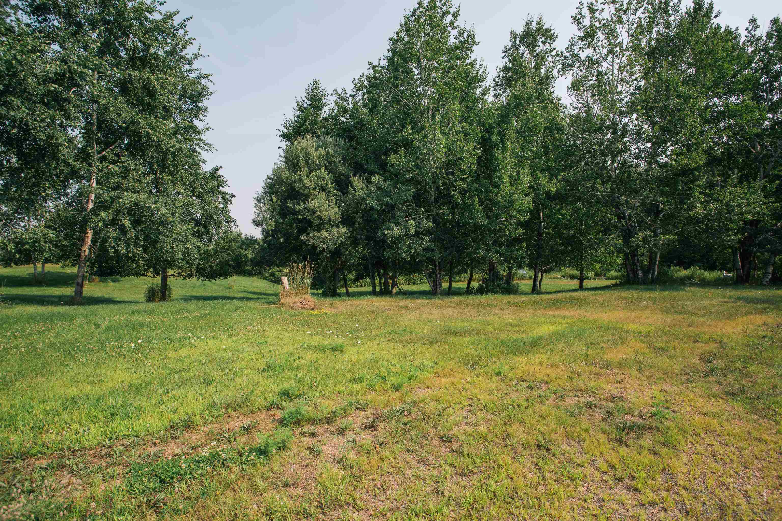 W14116 Mud Lake Drive Property Photo 10