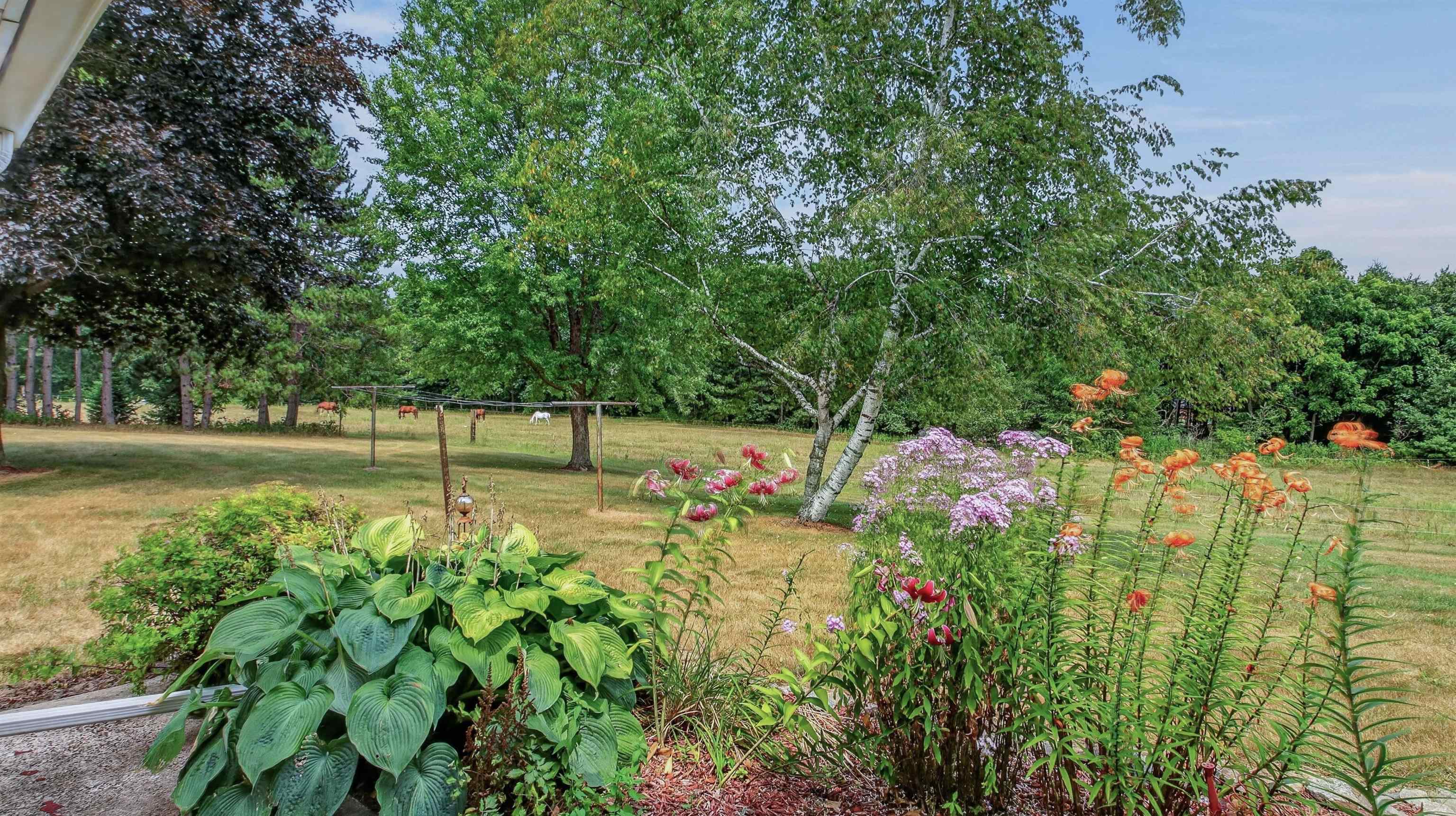 N8481 Kleba Road Property Photo 36