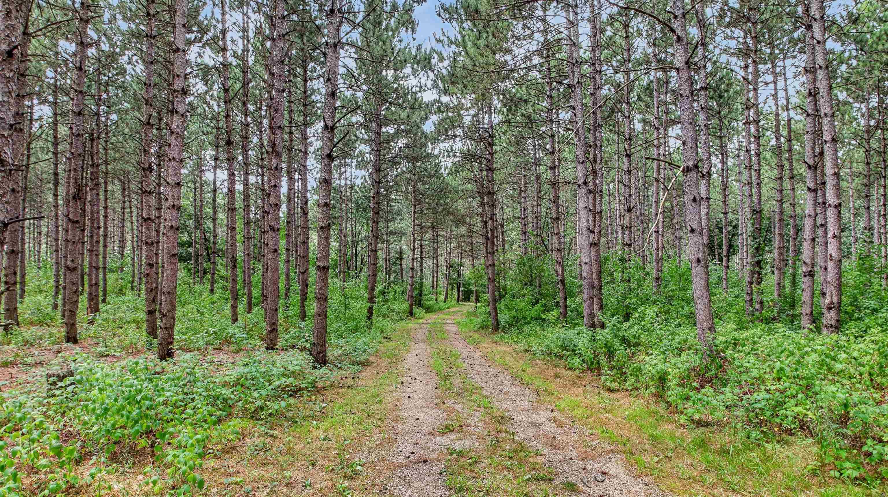 N8481 Kleba Road Property Photo 43
