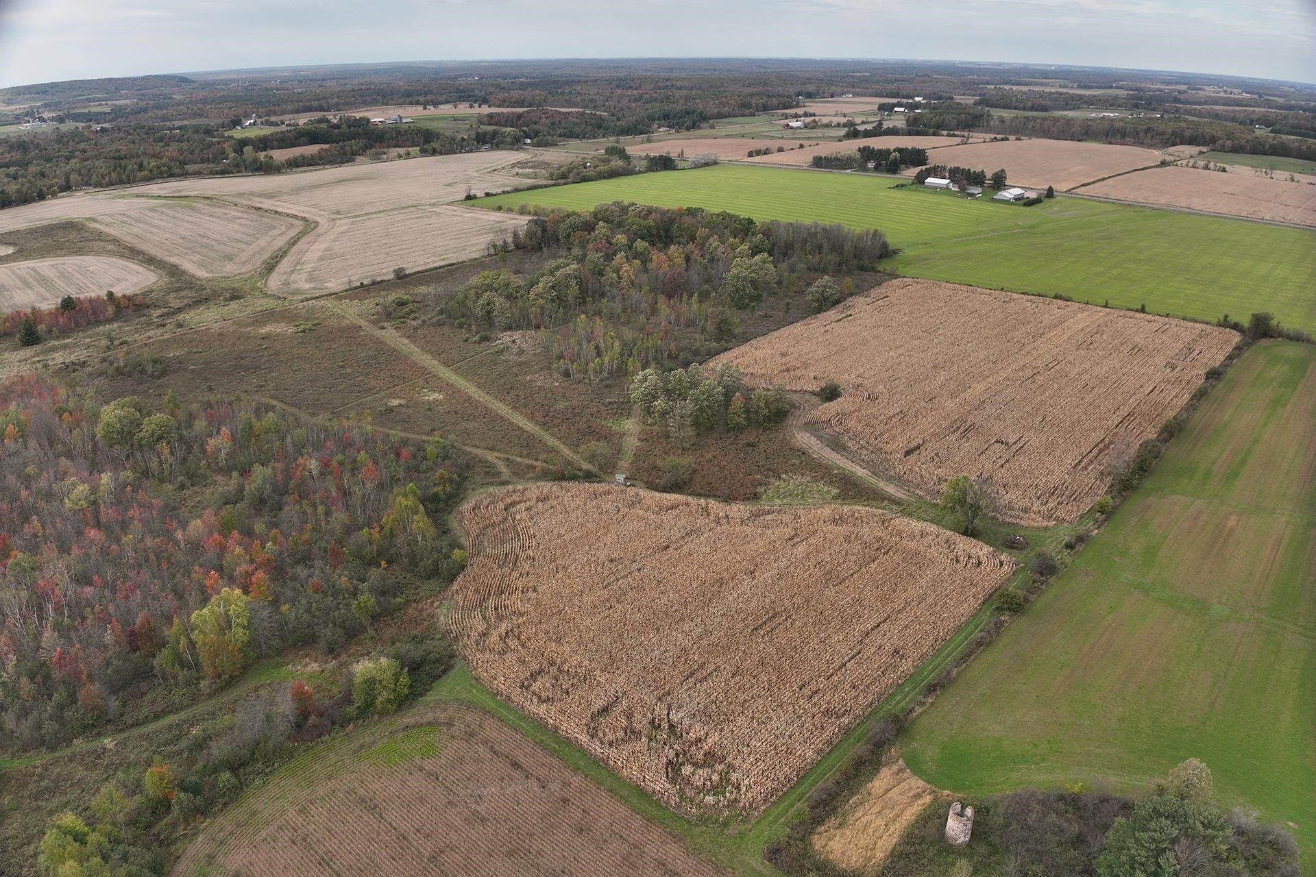 42.610 Acres County Road O Property Photo 2