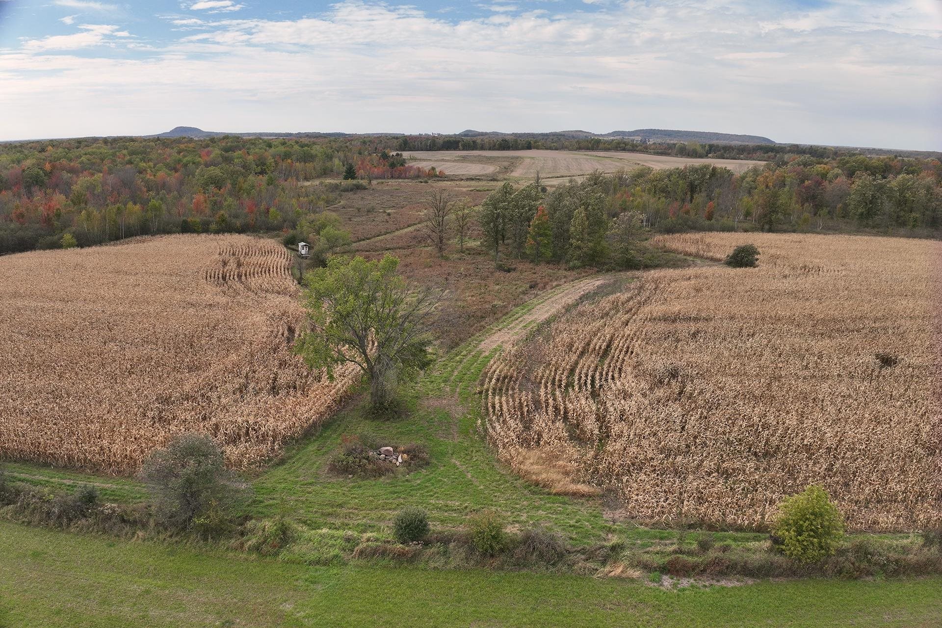 42.610 Acres County Road O Property Photo 4