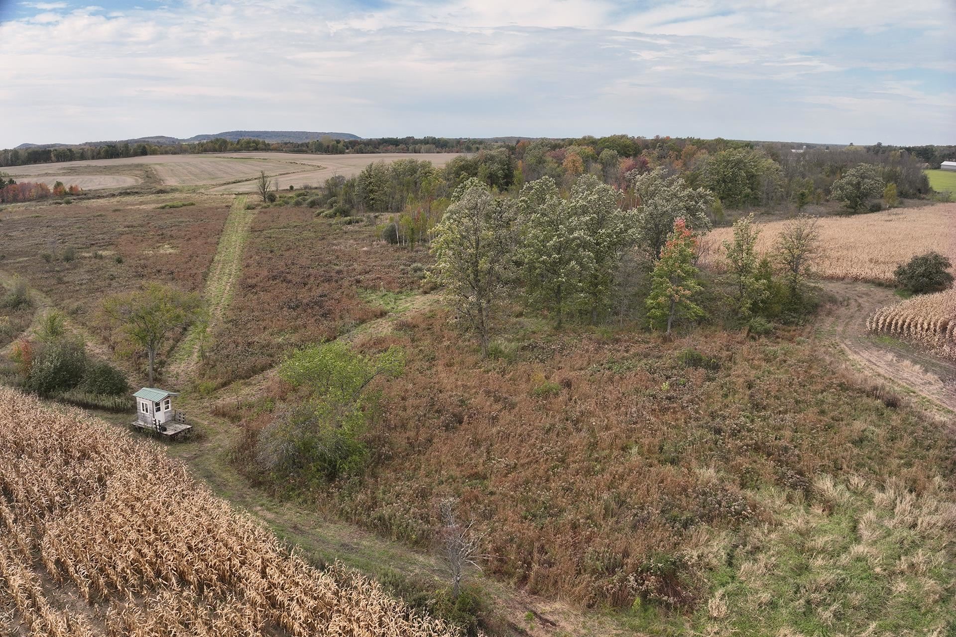 42.610 Acres County Road O Property Photo 5