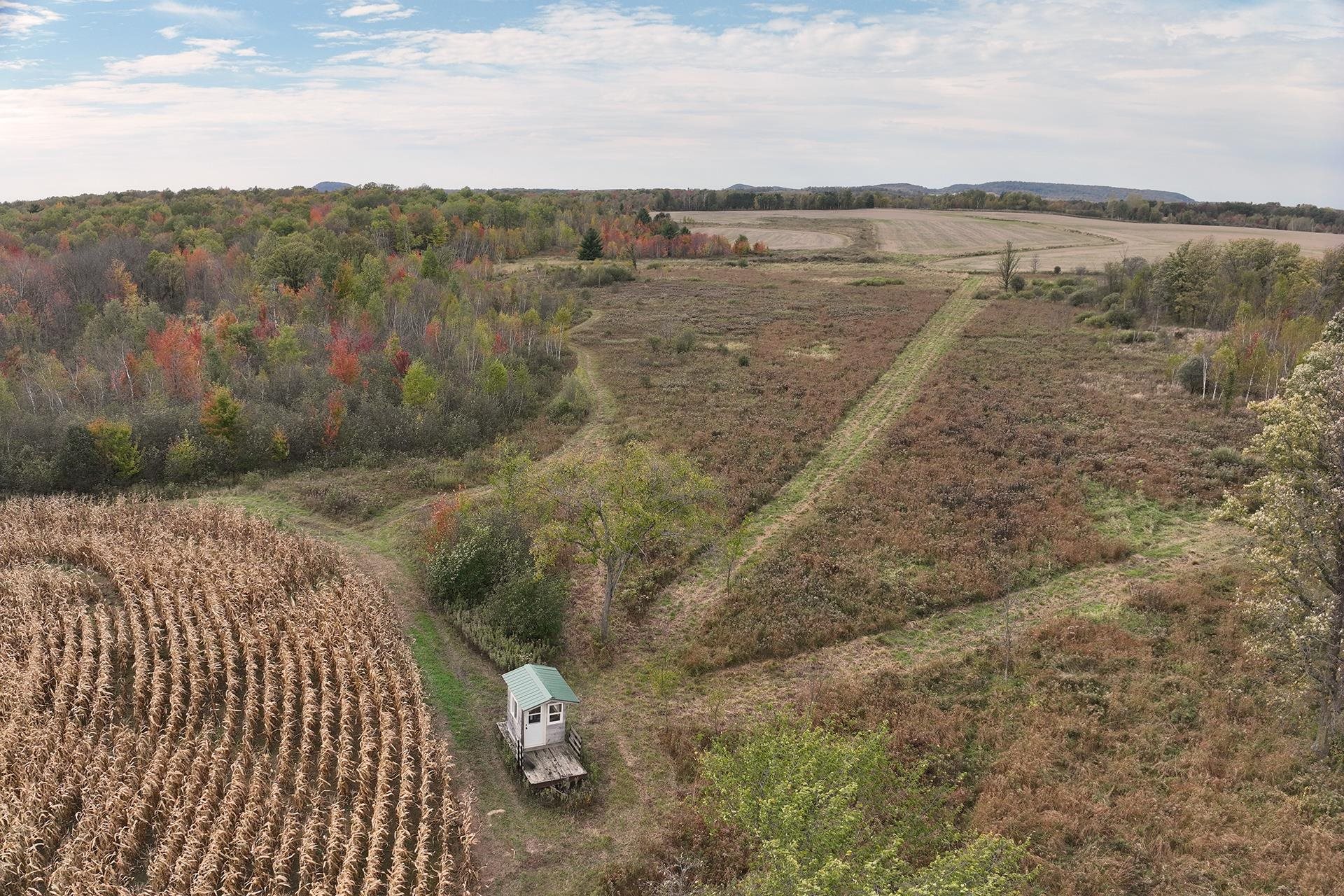 42.610 Acres County Road O Property Photo 6