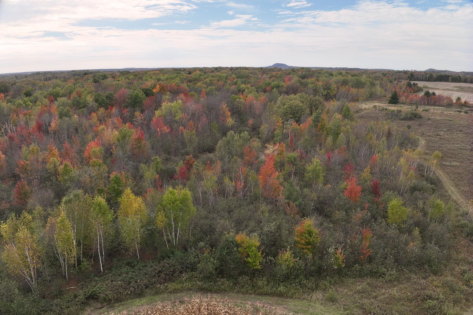 42.610 Acres County Road O Property Photo 7